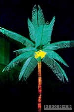характеристики, описание и цена на Кокосовая пальма 4х4 м.(11-12 листьев)