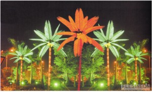 характеристики, описание и цена на Кокосовая пальма 5х5 м.(11-12 листьев)